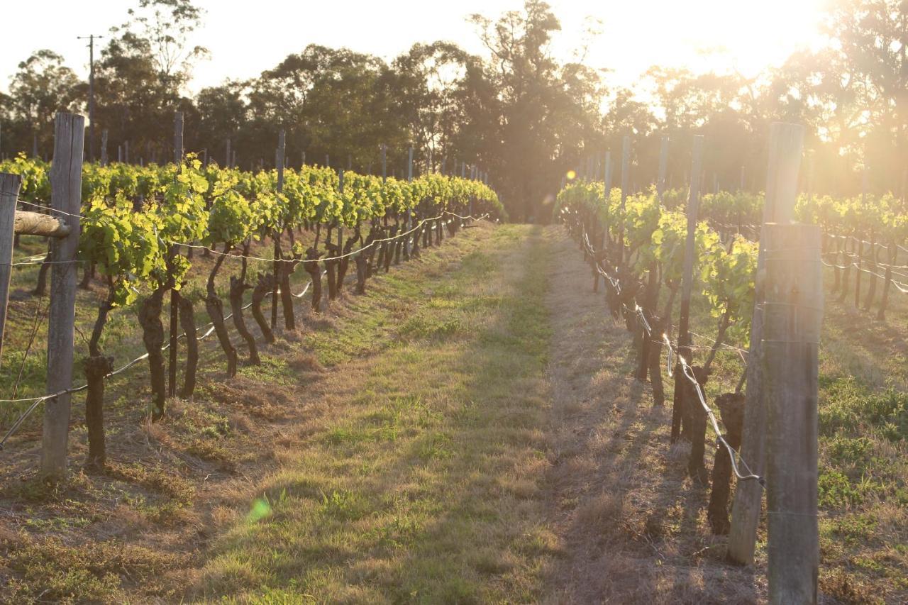 Blueberry Hill Vineyard Stay Rothbury Екстер'єр фото