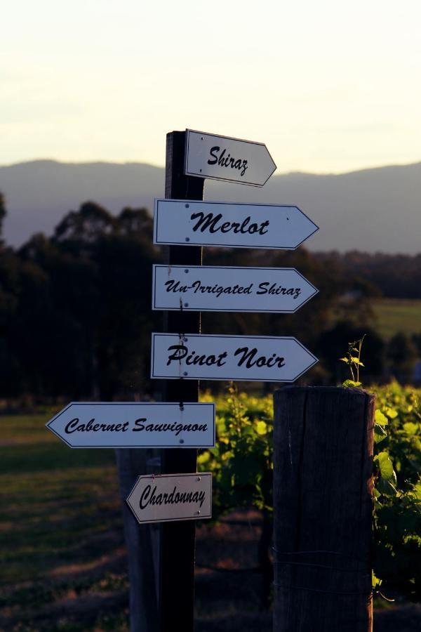 Blueberry Hill Vineyard Stay Rothbury Екстер'єр фото